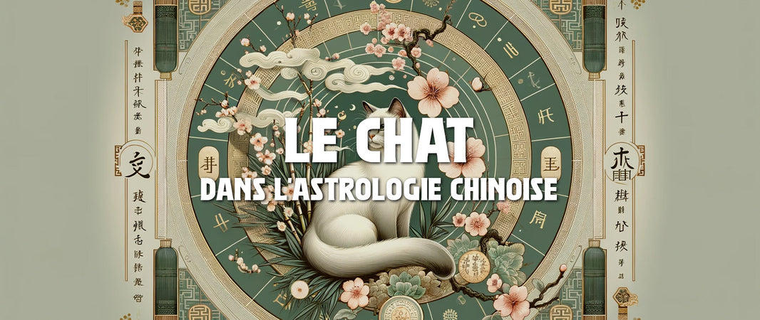 Le Chat dans l'Astrologie Chinoise