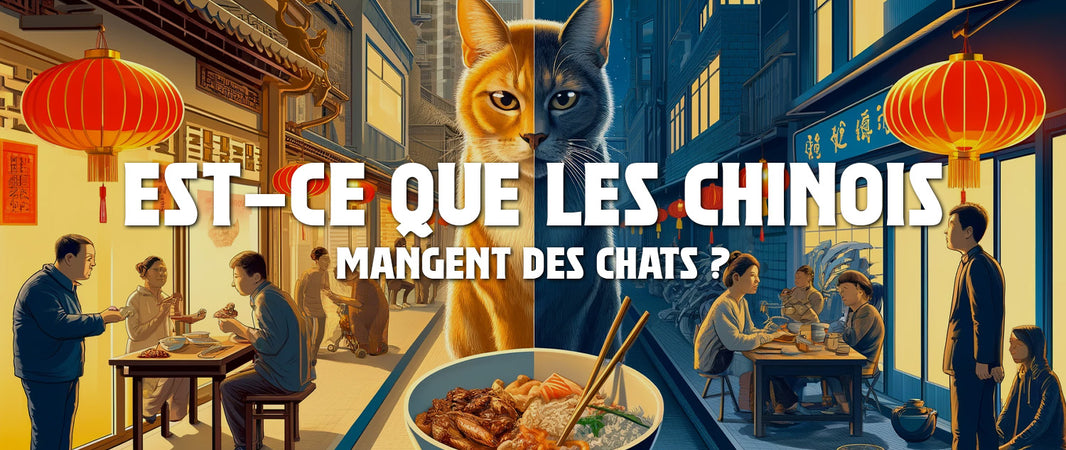 Est-ce que les Chinois mangent des Chats ?