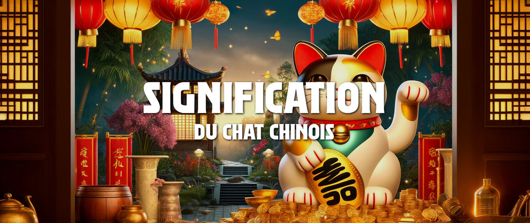 Signification du Chat Chinois